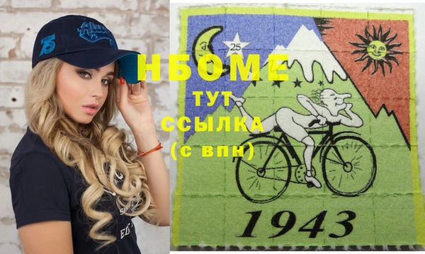 прущие грибы Наволоки