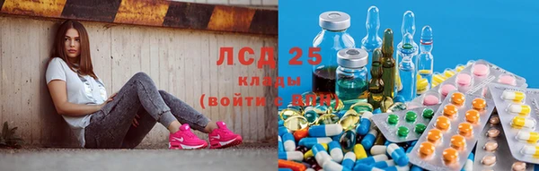 СК Навашино