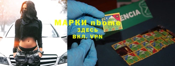 прущие грибы Наволоки