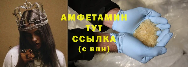 прущие грибы Наволоки