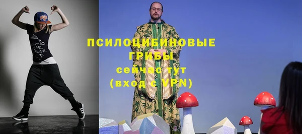прущие грибы Наволоки