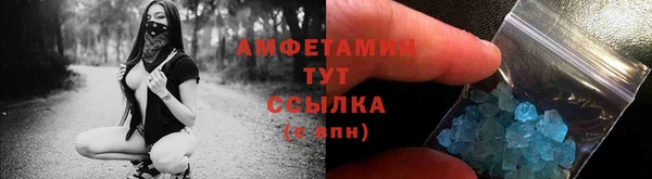прущие грибы Наволоки