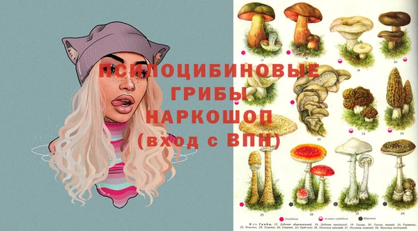 прущие грибы Наволоки