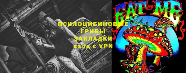 прущие грибы Наволоки