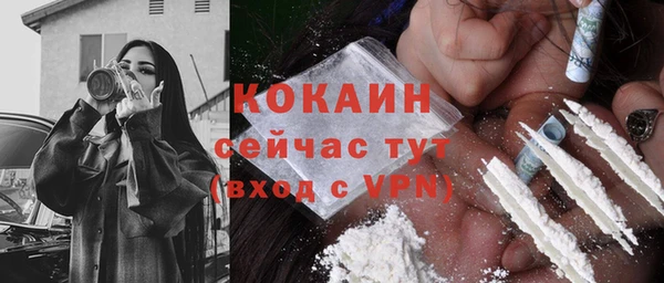 прущие грибы Михайловск