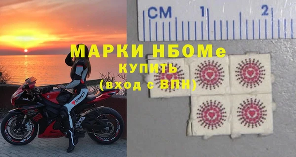 прущие грибы Наволоки