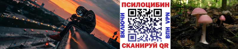 OMG зеркало  Красавино  Псилоцибиновые грибы GOLDEN TEACHER  дарнет шоп 